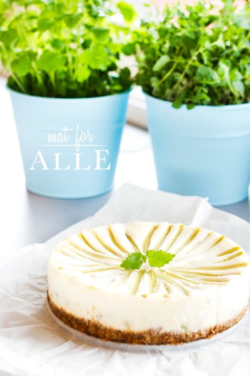 130601_ostekake_rabarbera003