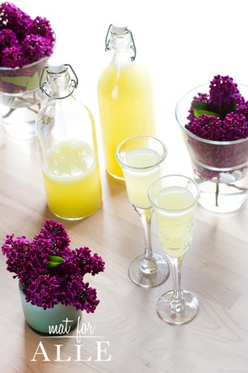 130613_rabarbralimonade