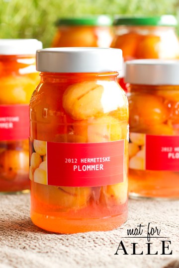 120927_hermetiske_plommer